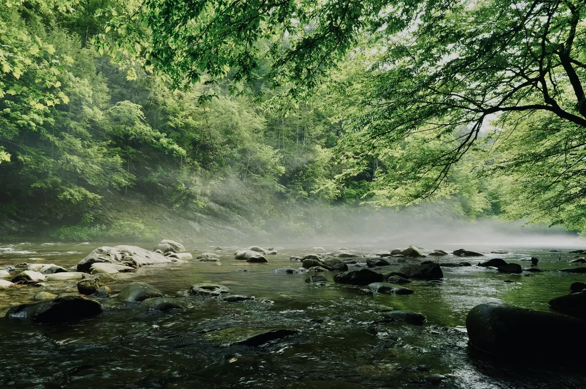 townsend wye river view in may