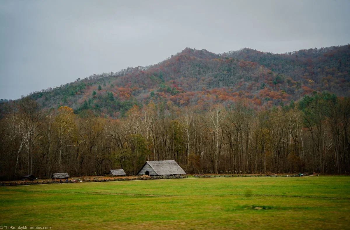 Historic barn in a grassy Cades Cove field