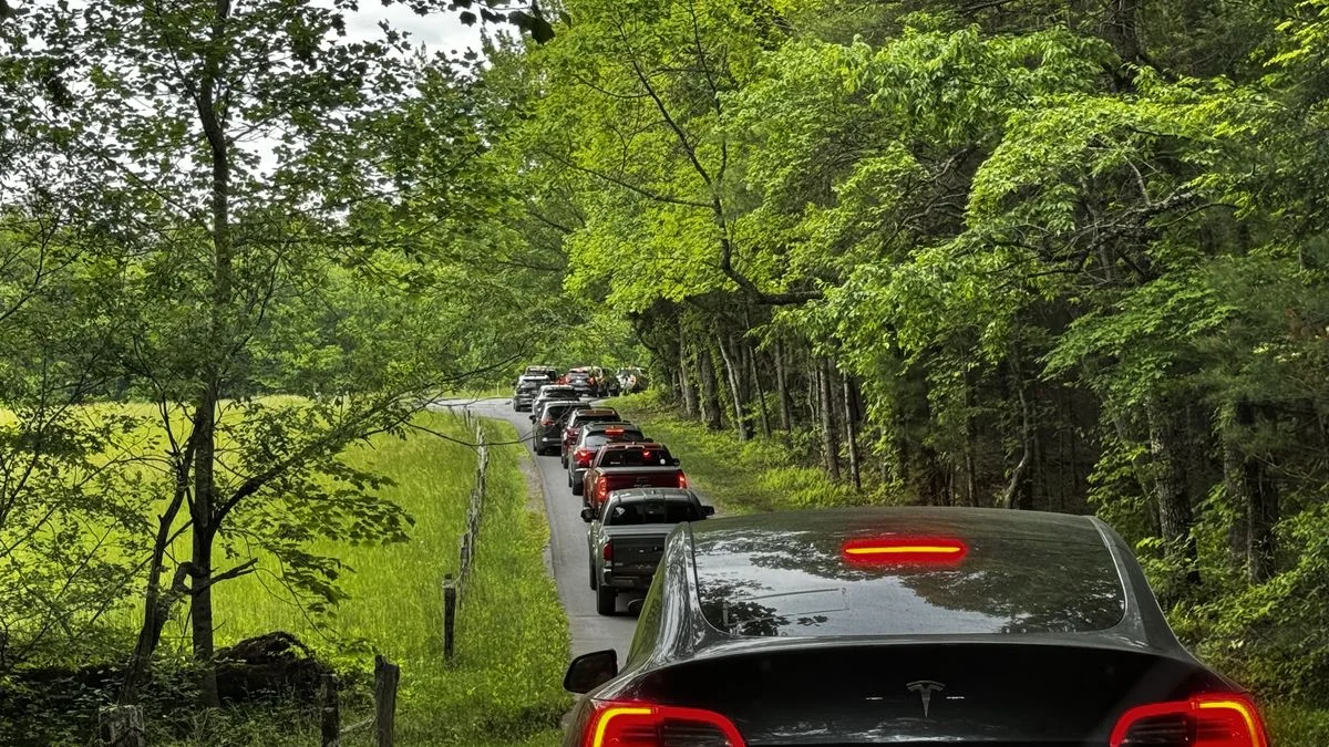 Cars lined up on the Cades Cove Loop Road