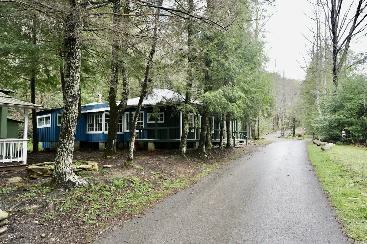 a house in the woods Daisy Town at Elkmont