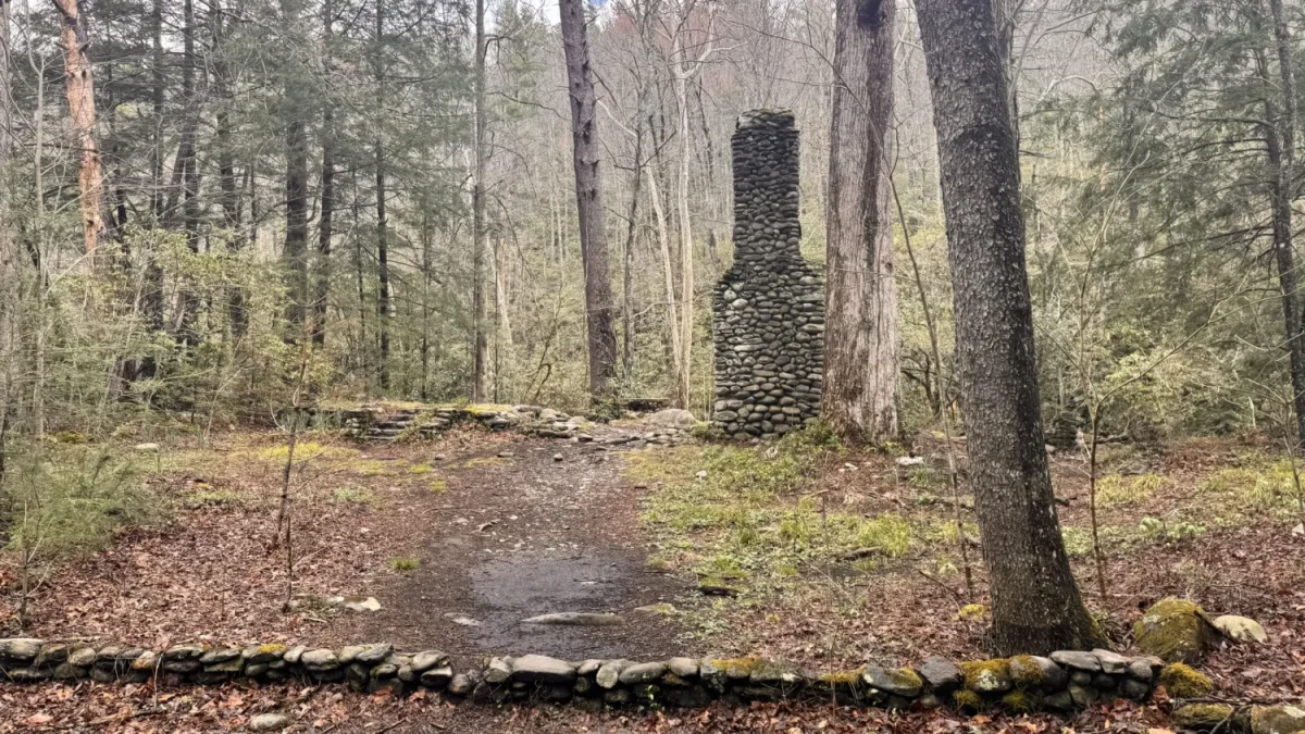 old house remains in the forest along a trail