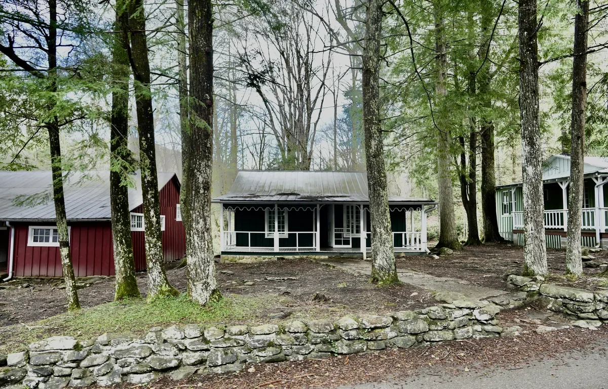 a house in the woods
