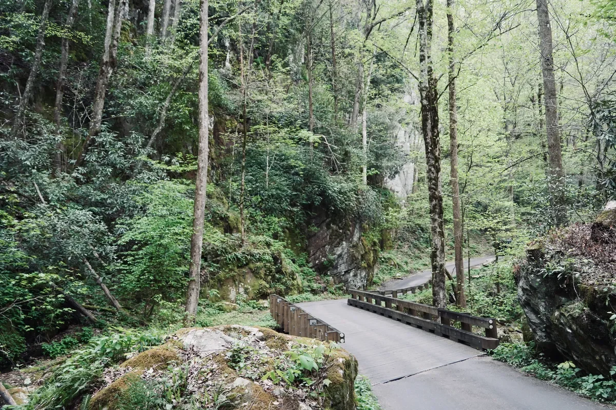 Roaring Fork Motor Nature Trail