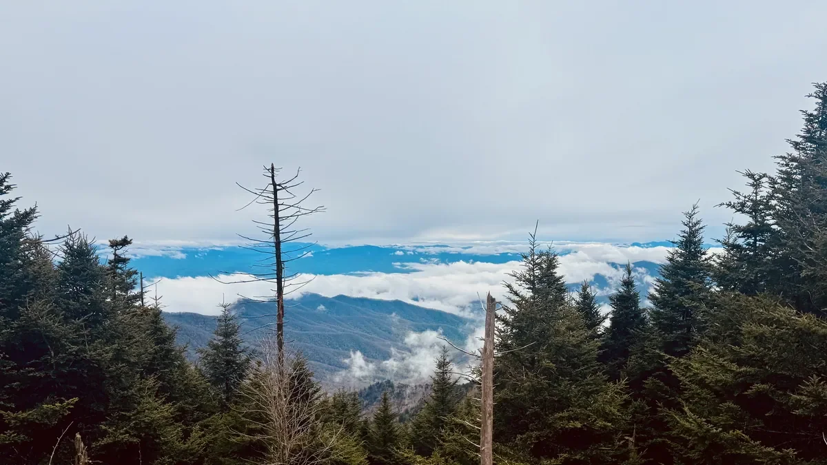 Clingmans Dome view of clouds below