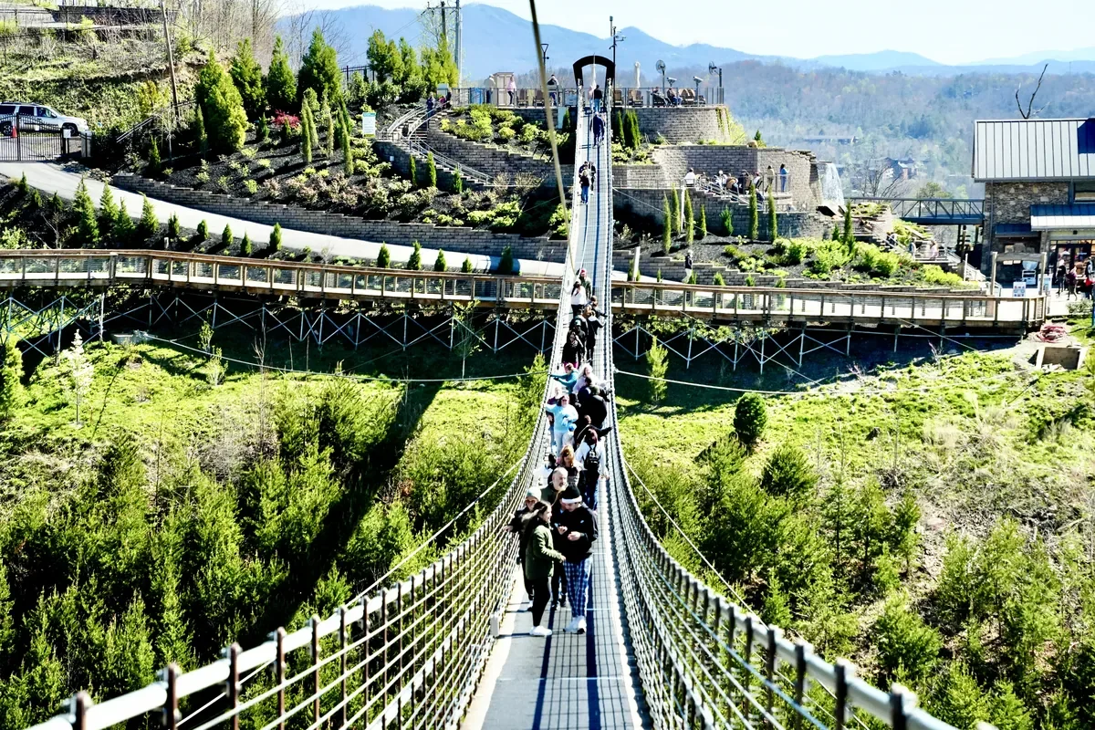 Gatlinburg Skybridge Review: Is It Worth It? Our Honest Review