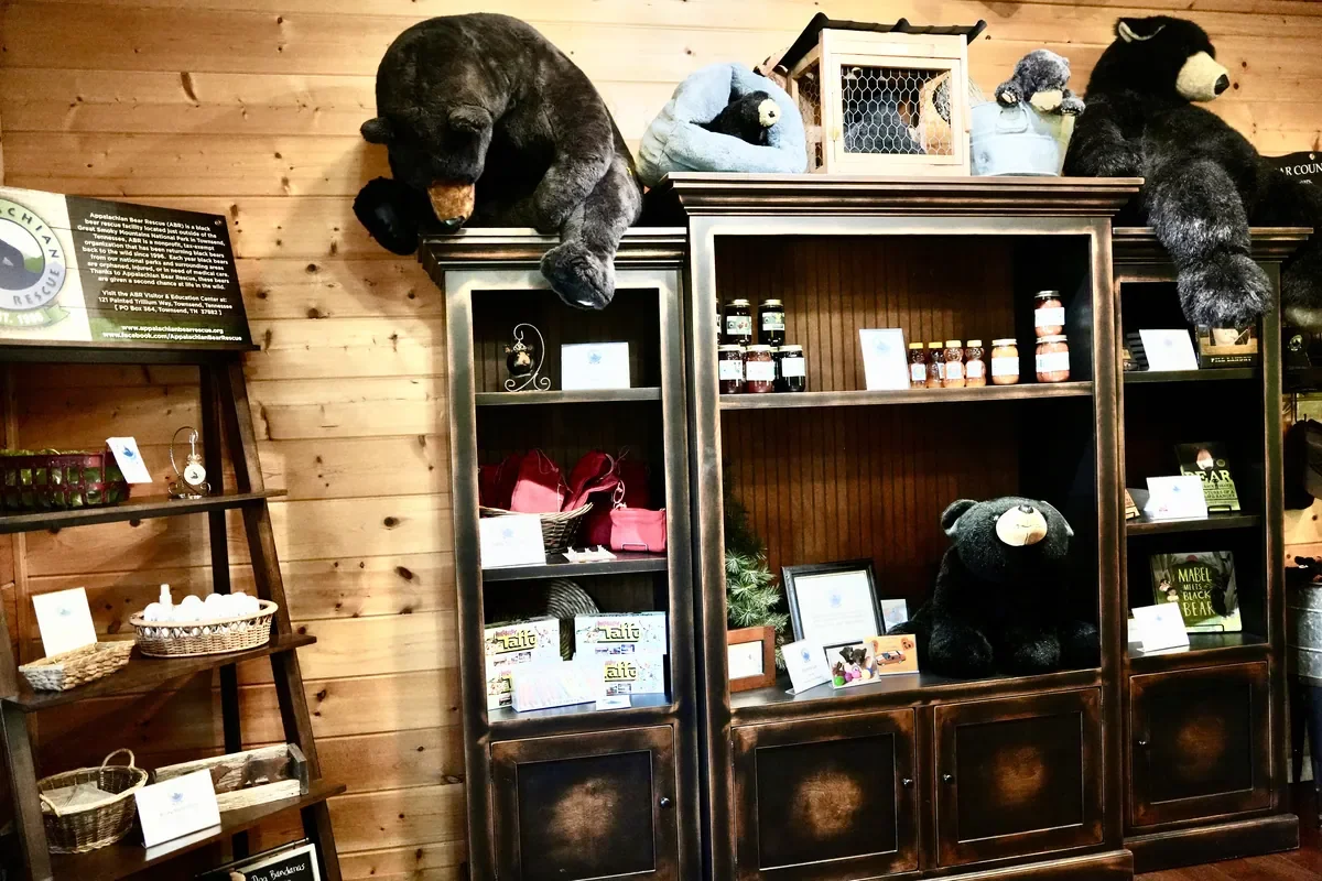 Appalachian Bear Rescue in Townsend