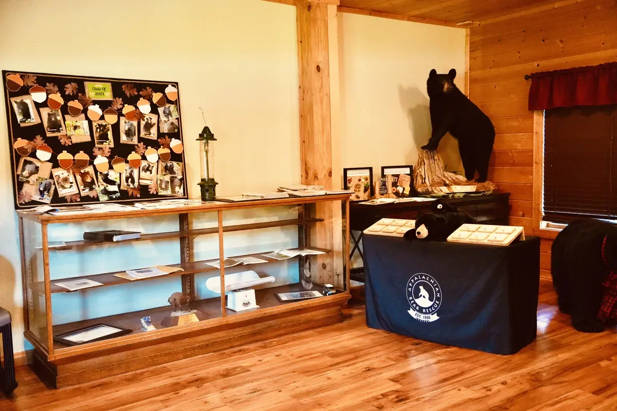 Appalachian Bear Rescue in Townsend