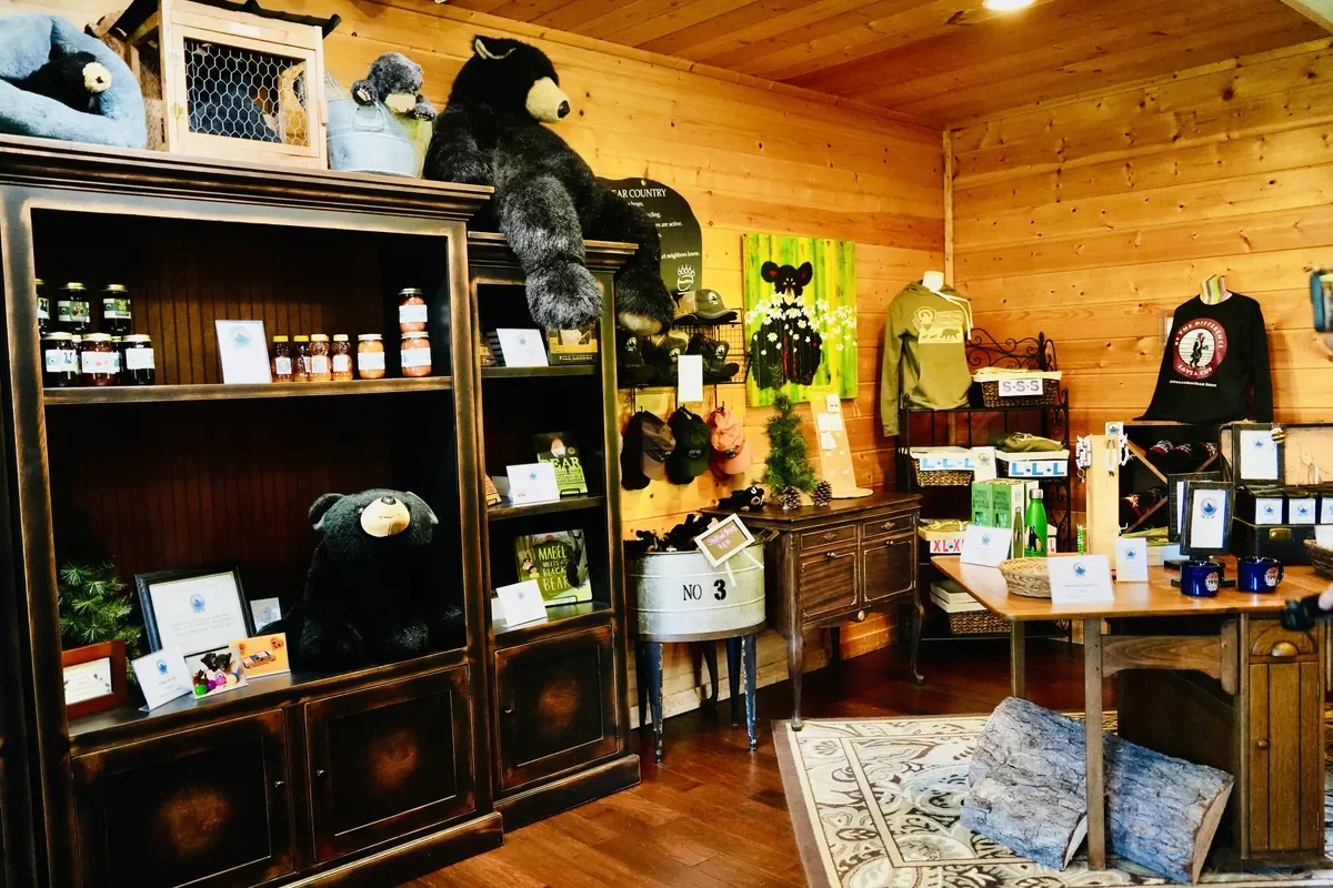 Appalachian Bear Rescue in Townsend