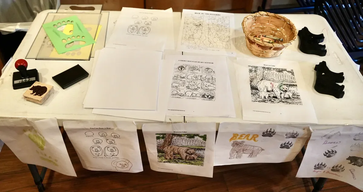 Appalachian Bear Rescue in Townsend