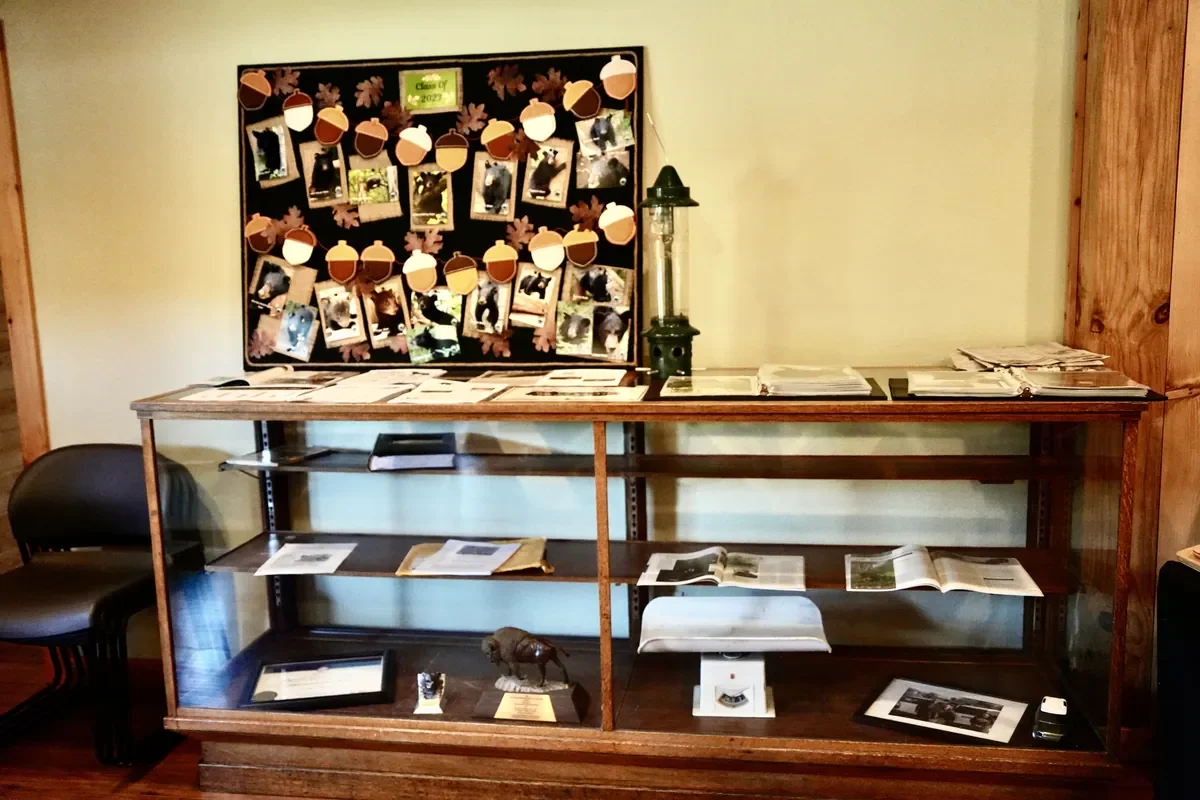 Appalachian Bear Rescue in Townsend