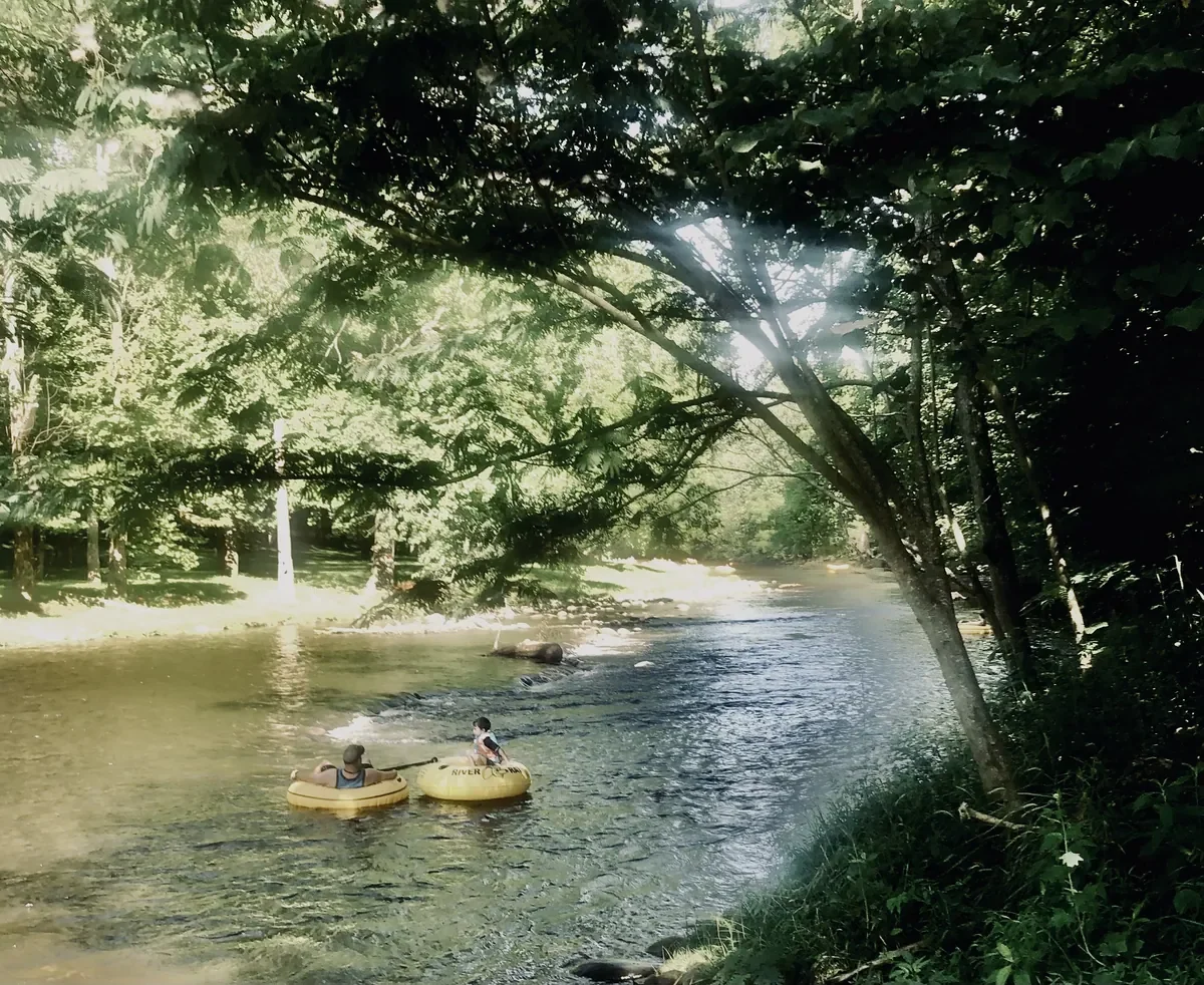 rafters on tubes in townsend on the little river