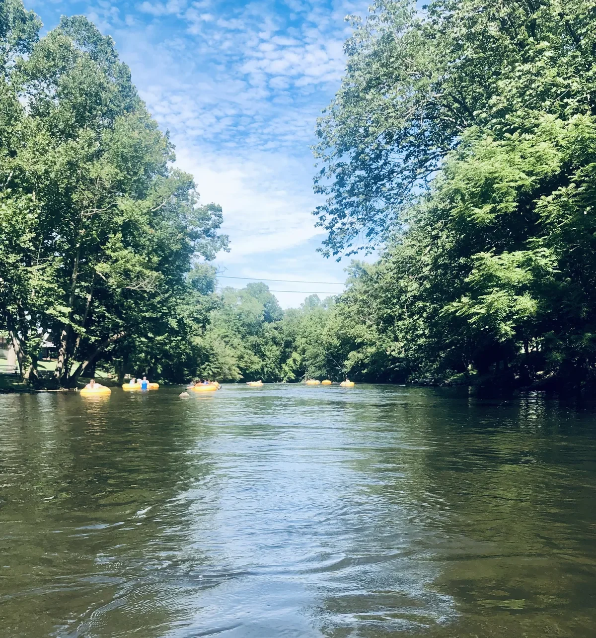tubers on the little river in townsend