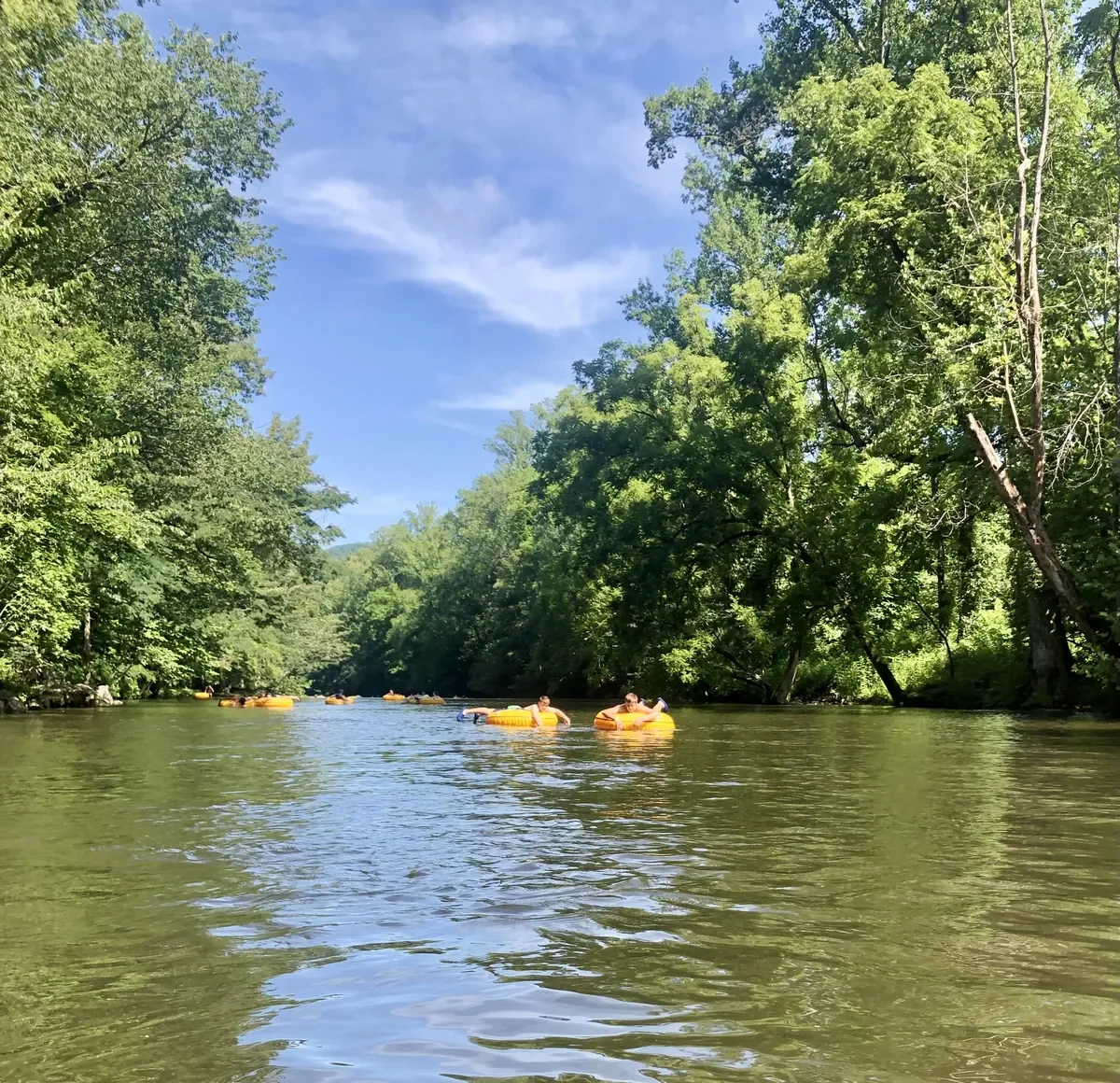 tubers on little river in townsend