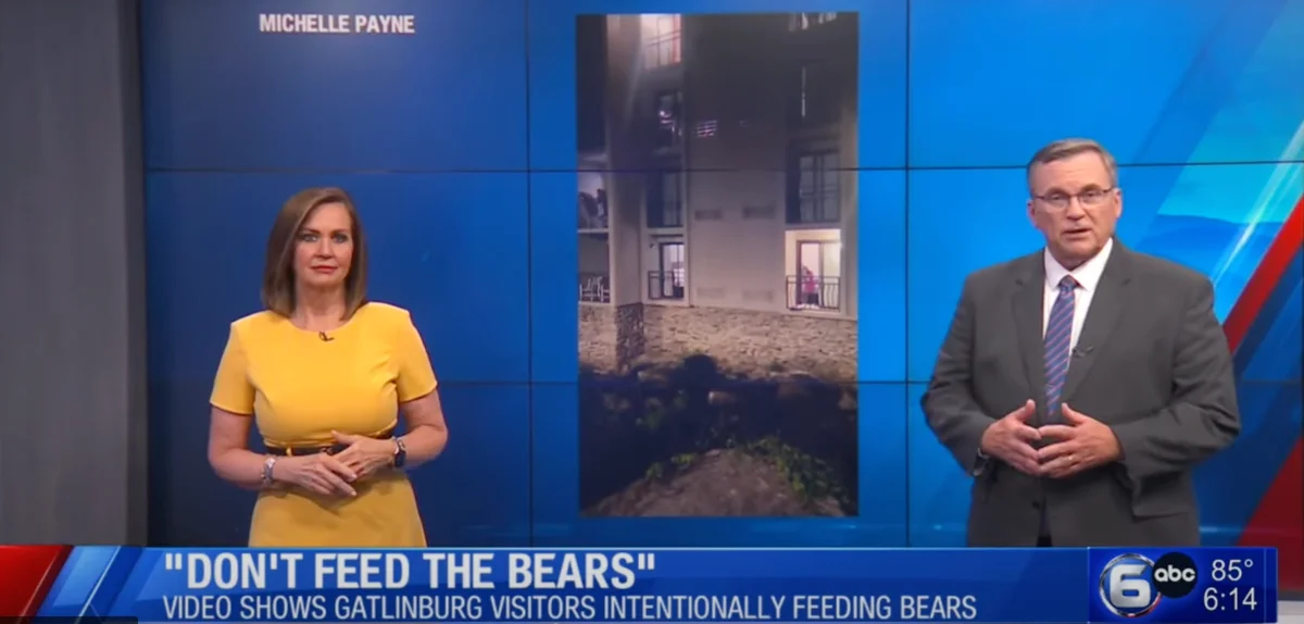 Video Shows Hotel Guests Feeding Bears From Hotel Balcony In Gatlinburg