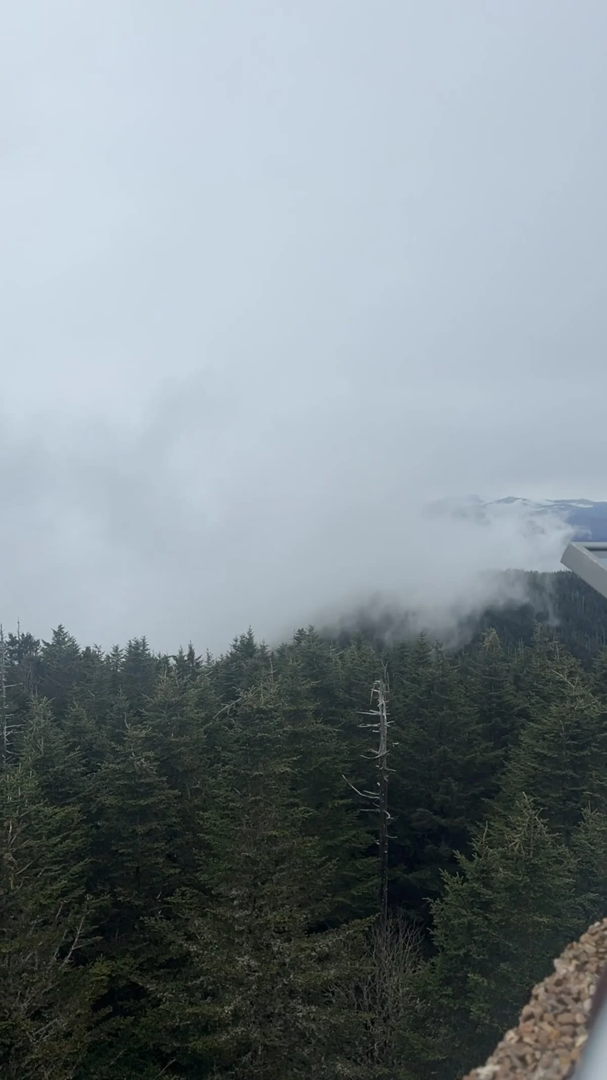 Low clouds over the Kuwohi observation area