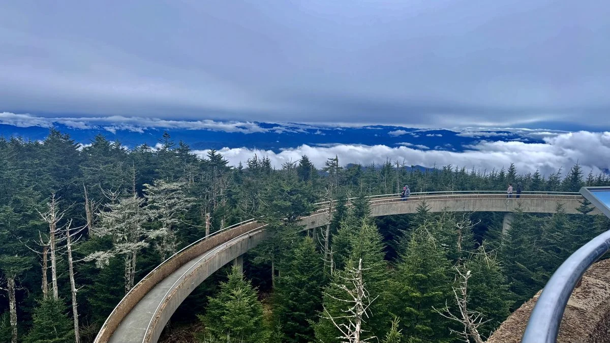 Kuwohi observation tower and curved ramp above the trees