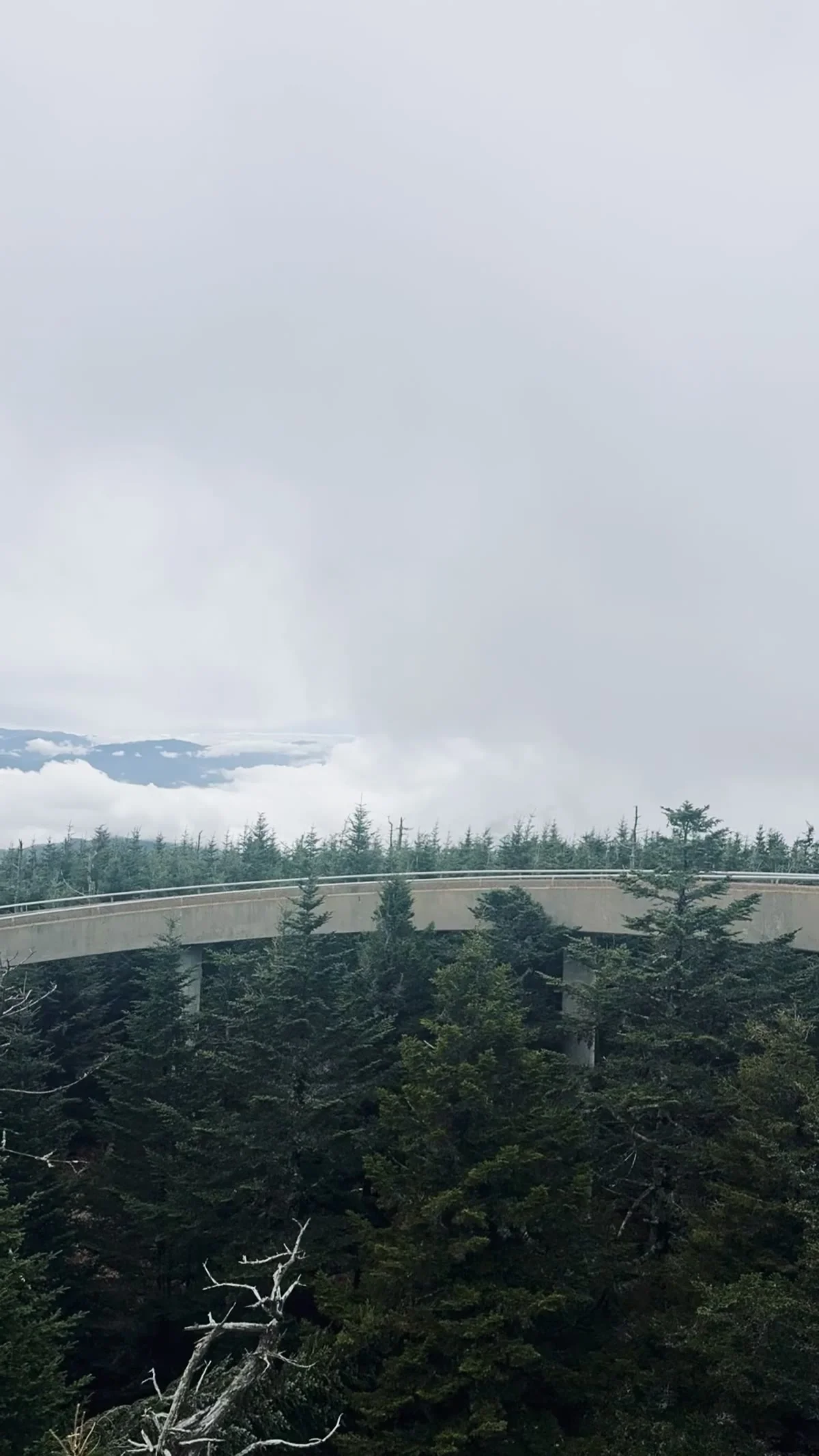 Curved concrete observation ramp at Kuwohi