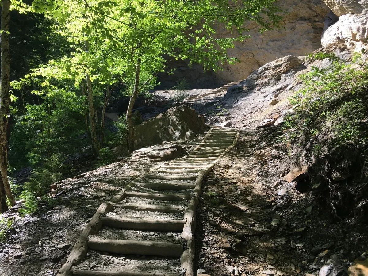 Leconte Lodge: The Hotel That Has Supplies Delivered By Llamas 4