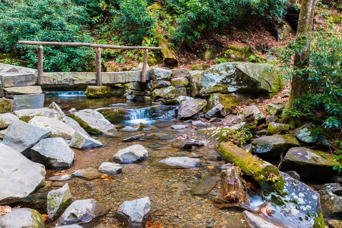 Leconte Lodge: The Hotel That Has Supplies Delivered By Llamas 5
