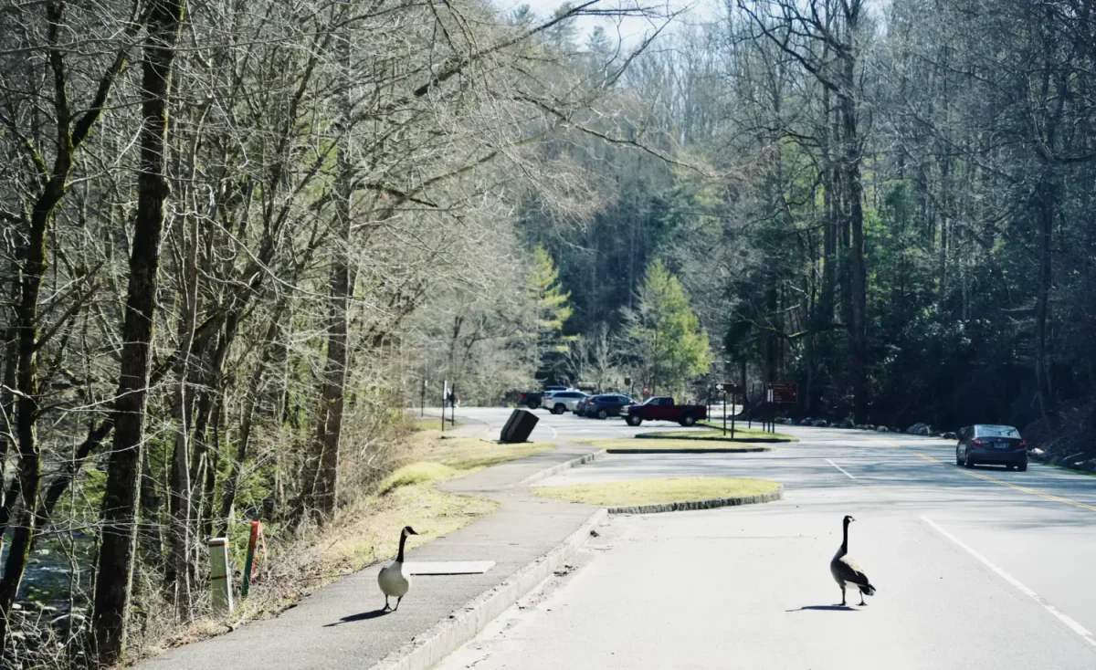 townsend wye parking area