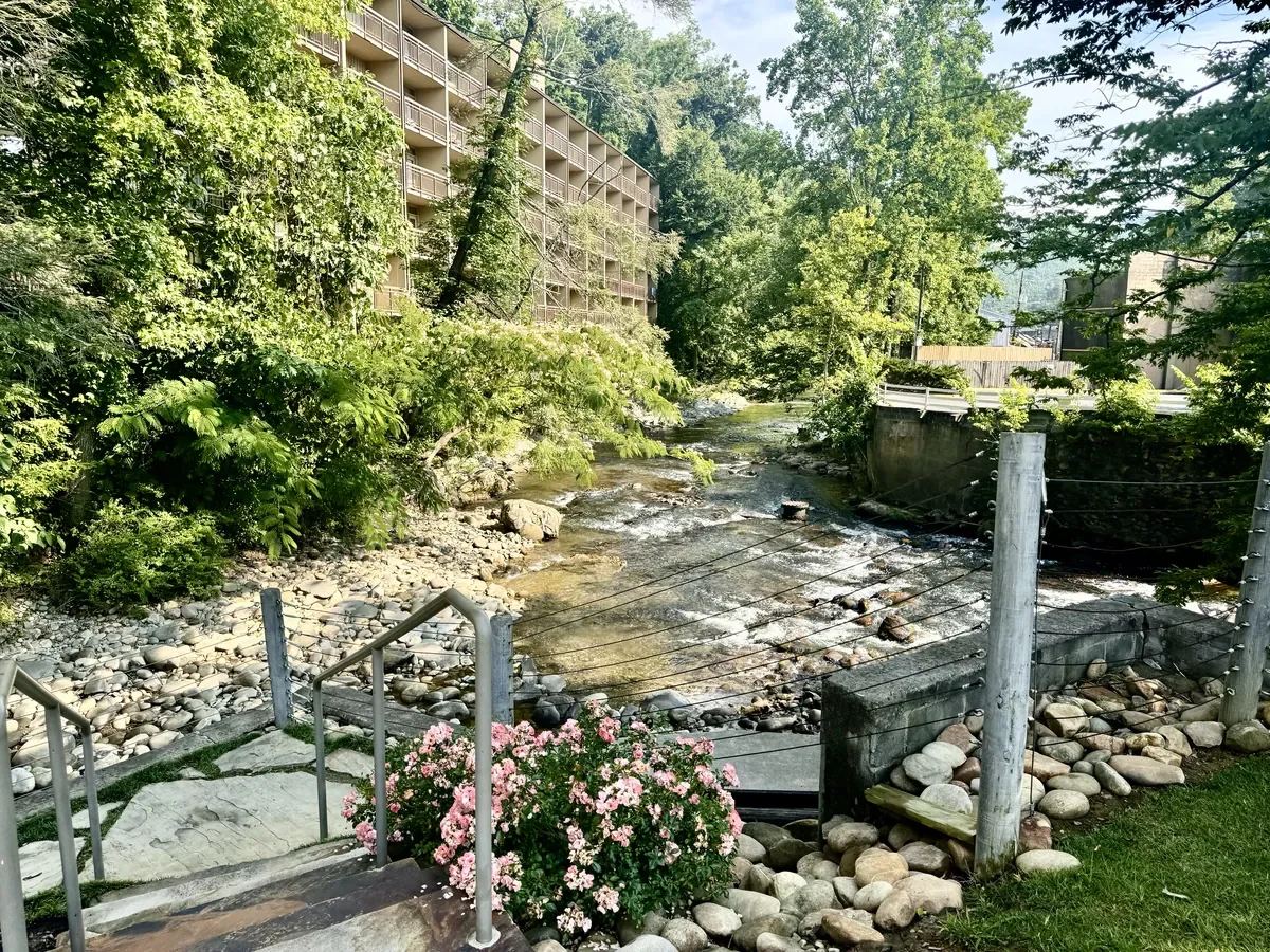 river view from steps above