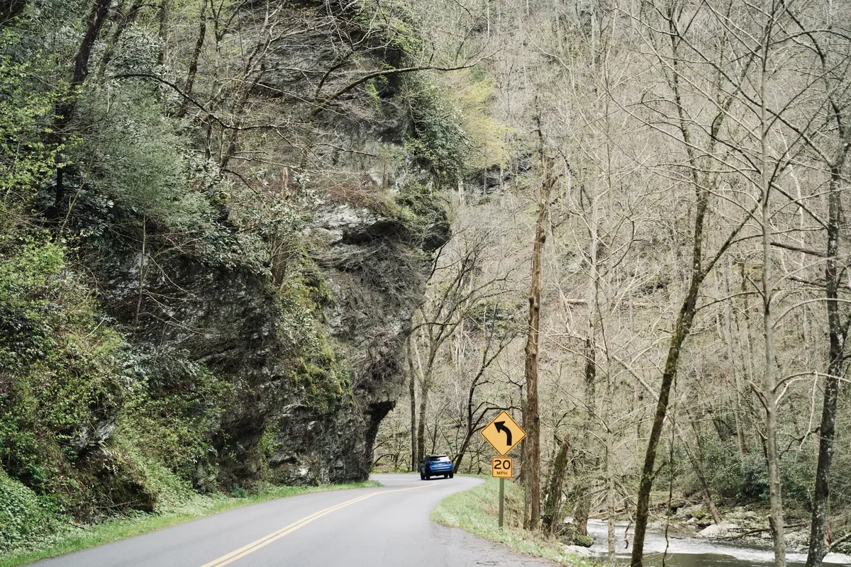 Rock wall on Little River Rd