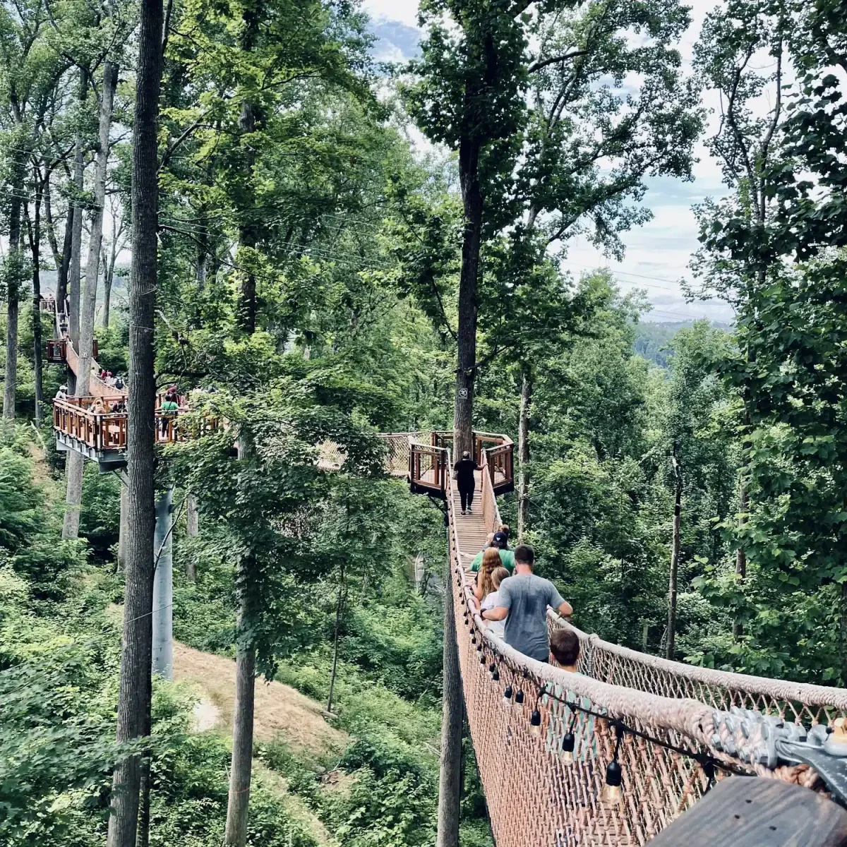 Bridges Of Anakeesta