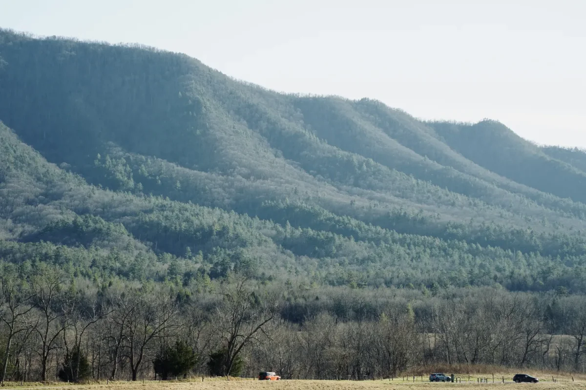Cars in the valley Of Cades Cove
