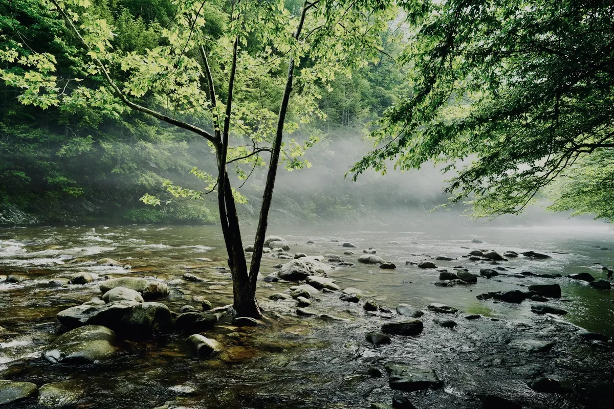 Townsend Wye with morning mist in May.