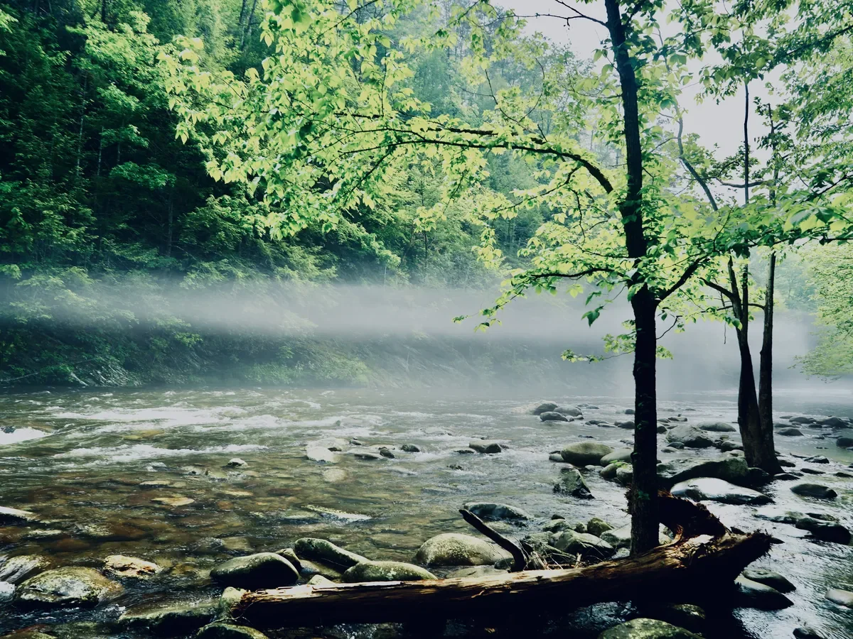 Townsend Wye with morning mist in May.