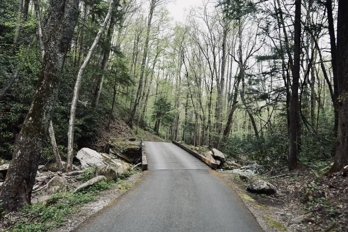 bridge at Roaring Fork Motor Nature Trail