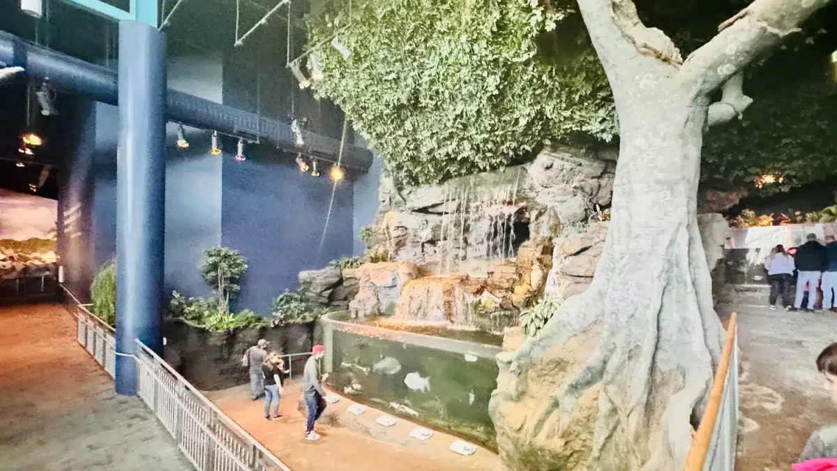 Ripley's Aquarium of the Smokies view