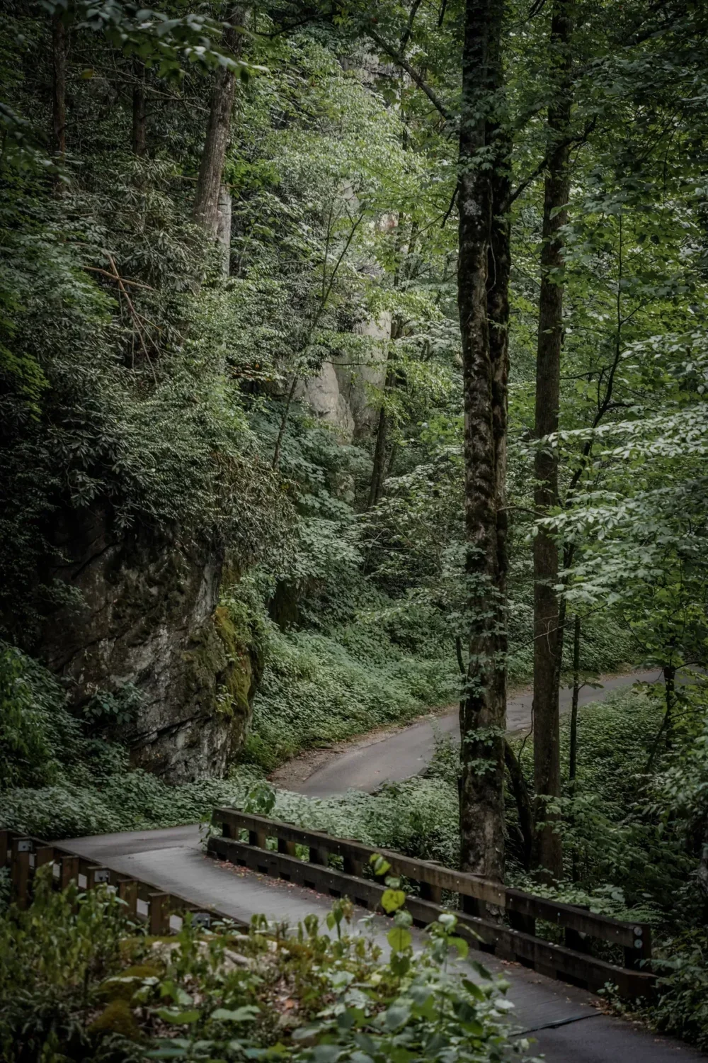 Bridge on Roaring Fork Motor Nature Trail