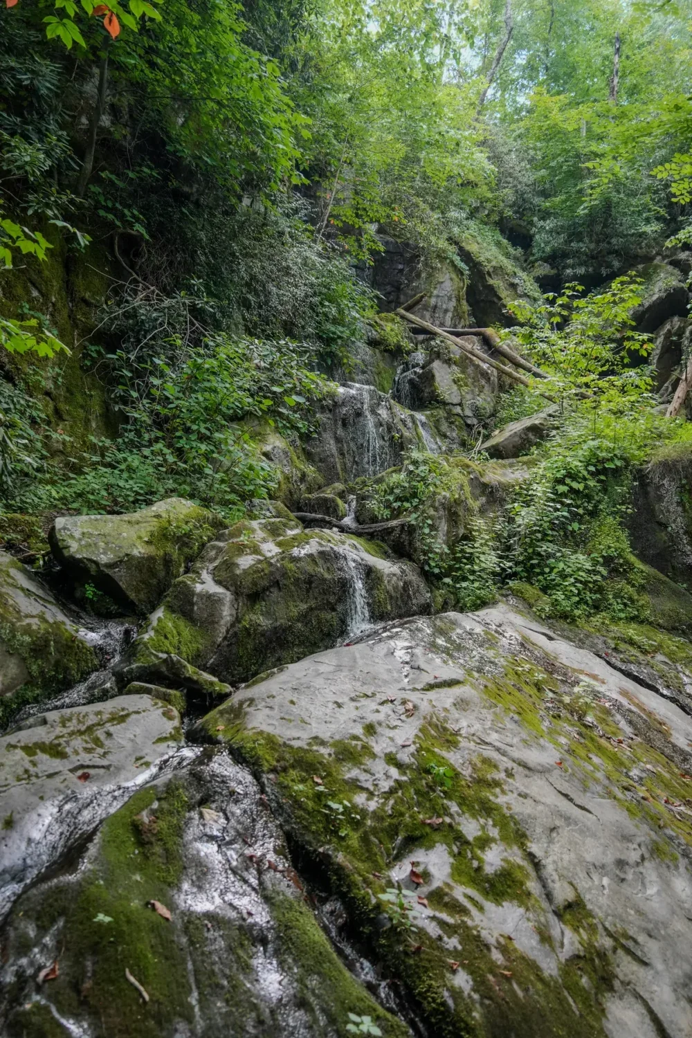 Place of a Thousand Drips