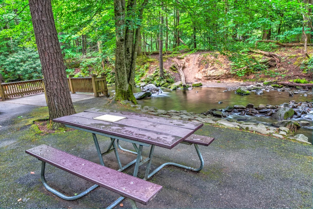 Picnic Table in the Smoky Mountains