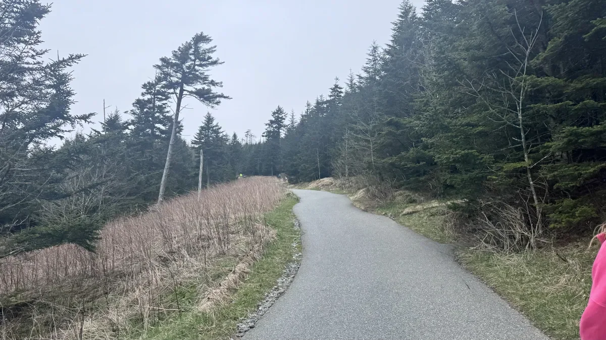 path up to clingmans dome 