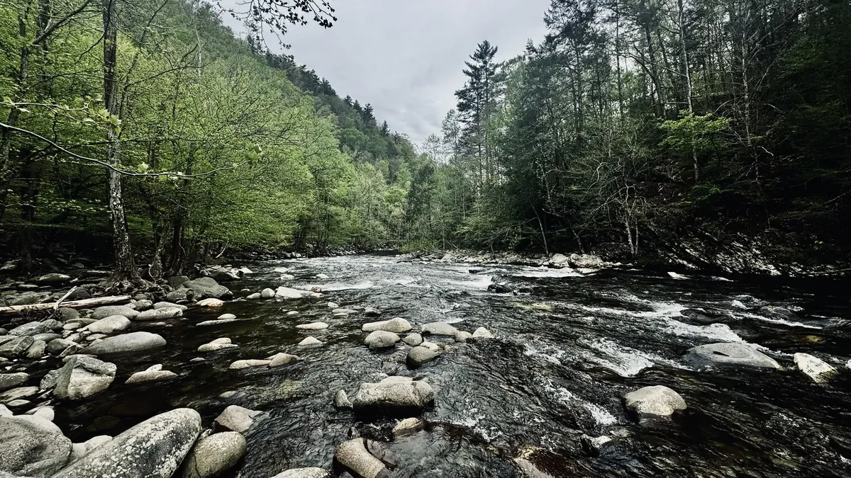 little river, water flowing past rocks 