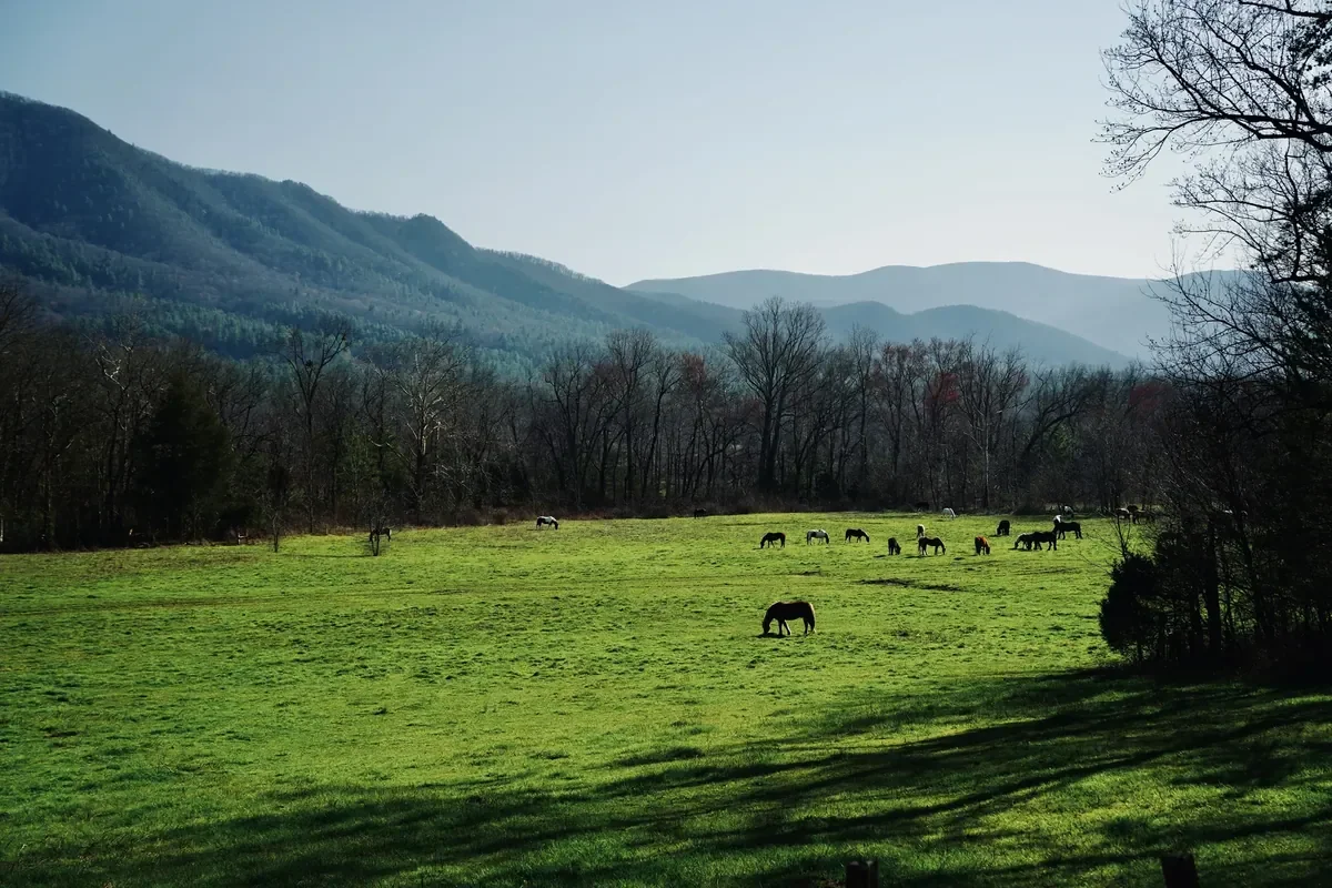 cades cove<br/>