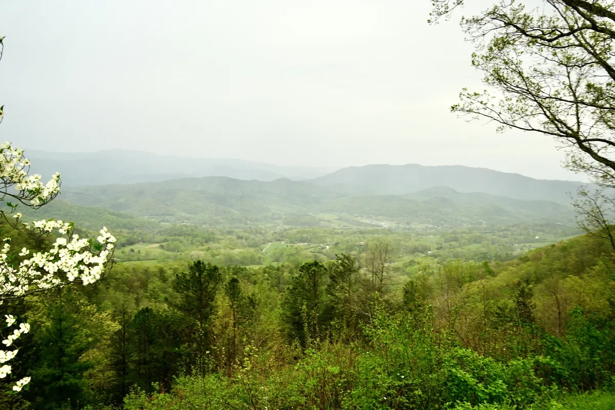 foothills parkway overlook on a rainy day 