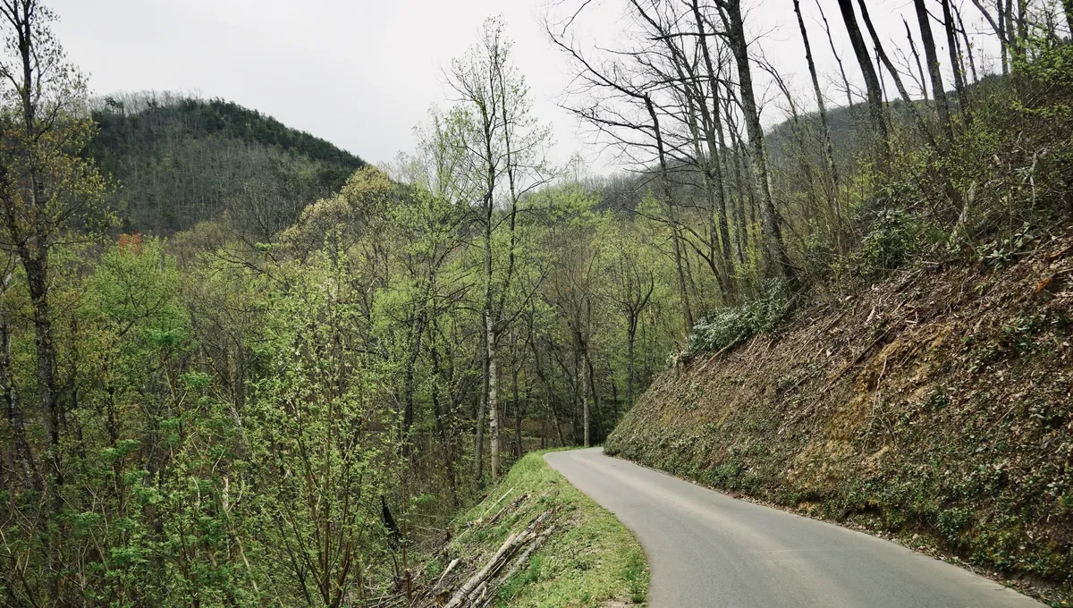 narrow road along cliff on roaring fork trail