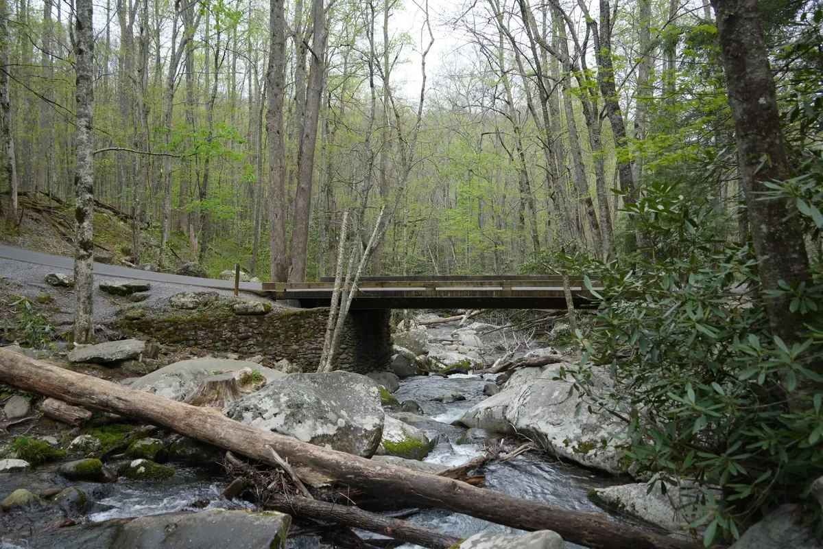 roaring fork river under a bridge 