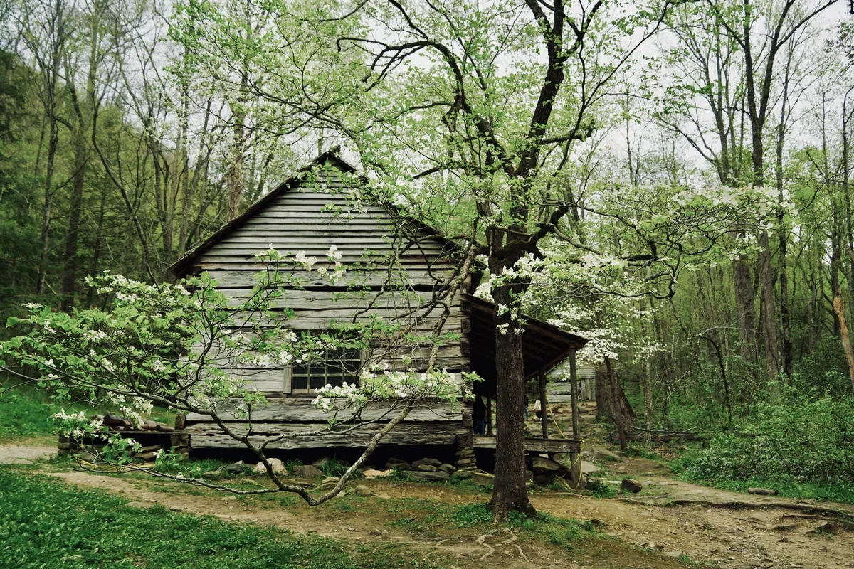 noah bud ogle cabin in spring with flowers blooing 