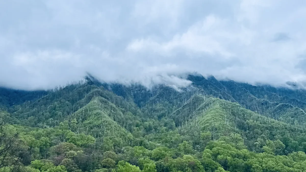 top of mountains covered with clouds, newfound gap road 