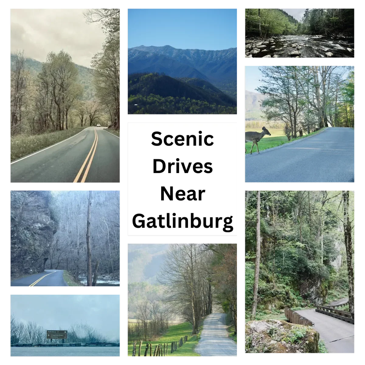 The Best Scenic Drives Near Gatlinburg