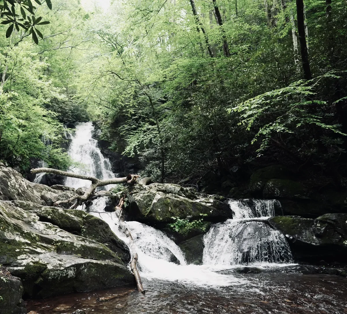 Spruce Flat Falls waterfall