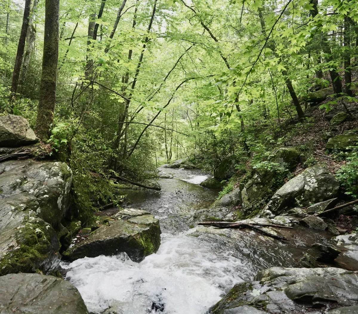 Spruce Flat Falls waterfall