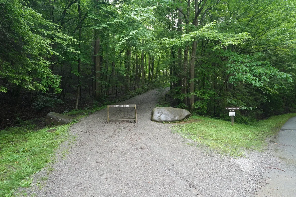 gravel road at Spruce Flat Falls waterfall hike