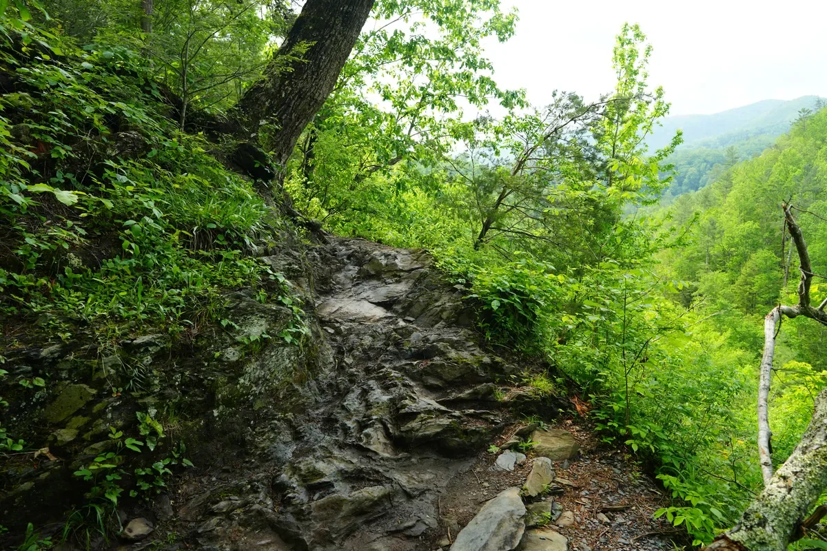 rocks on trail at Spruce Flat Falls waterfall hike
