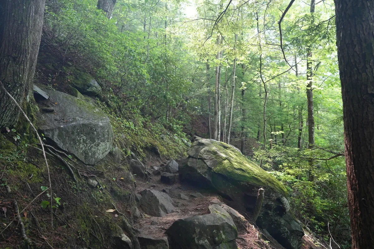 rocks on the Spruce Flat Falls waterfall hike
