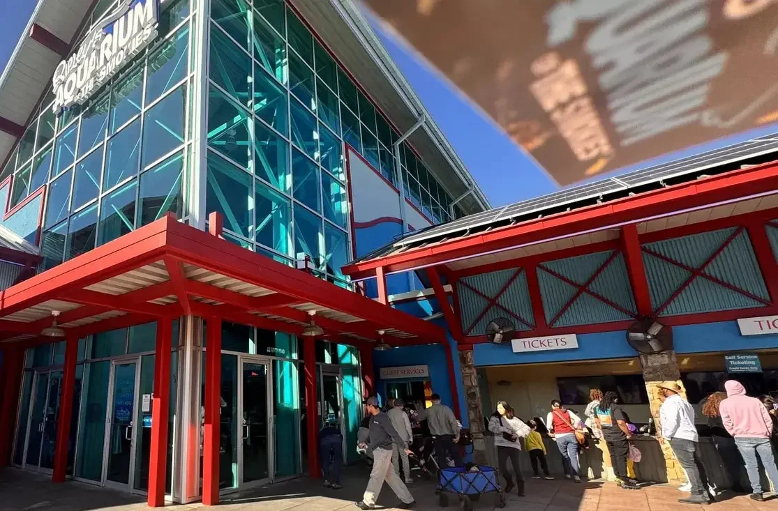 aquarium in gatlinburg